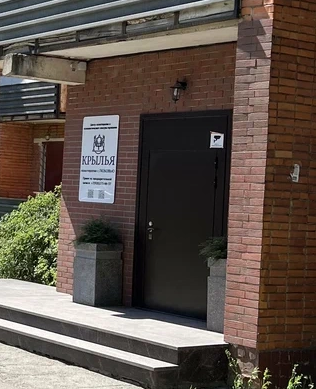 Дополнительное фото 2